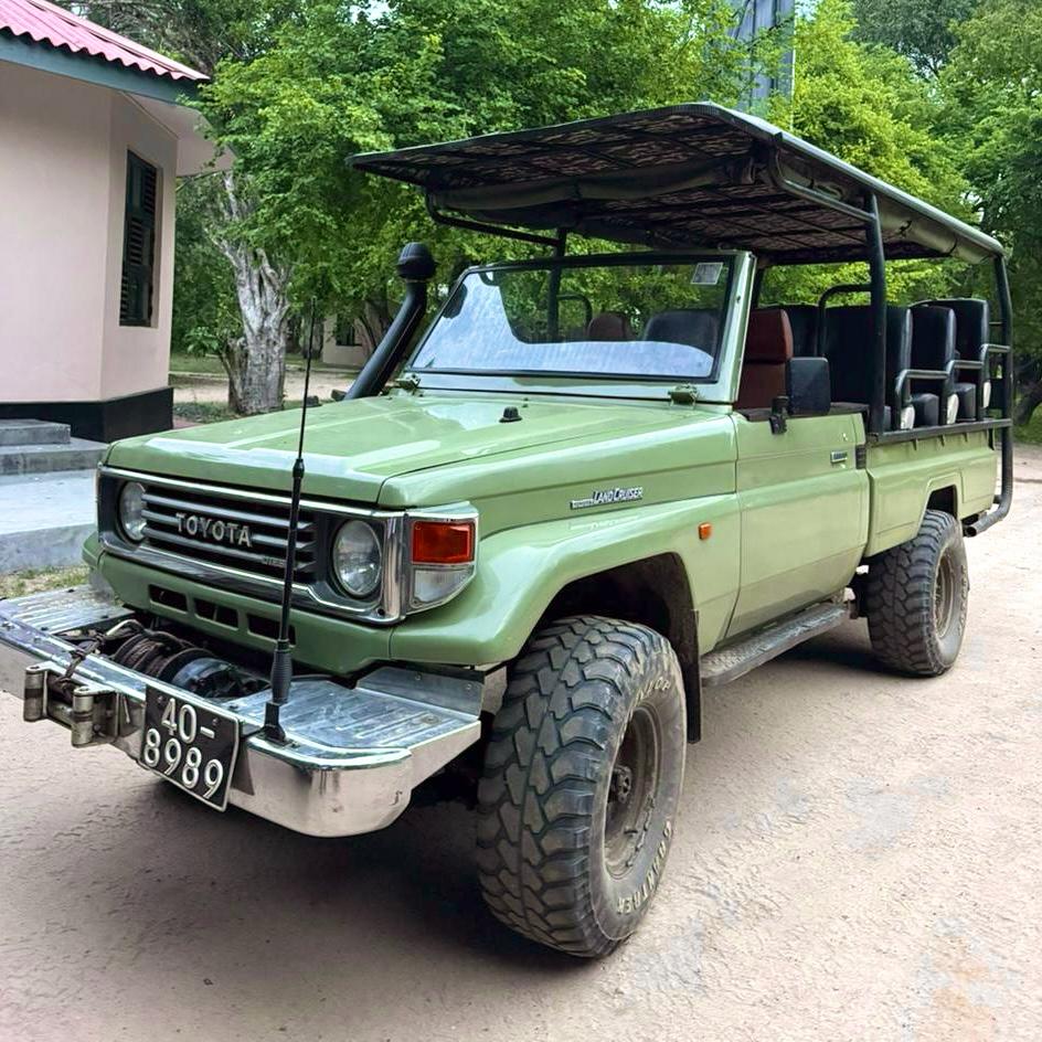 Safari Jeep